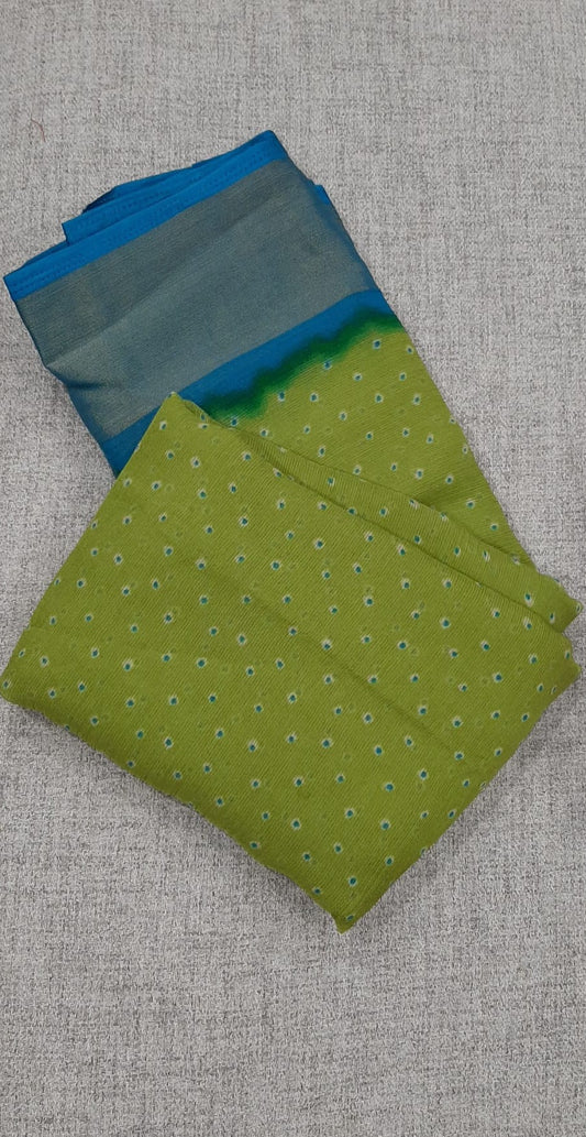 Green Sari with Blue Border @ DressingStylesCA.com
