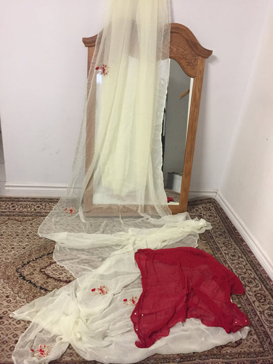 Chiffon Saree with Handwork @ DressingStylesCA.com
