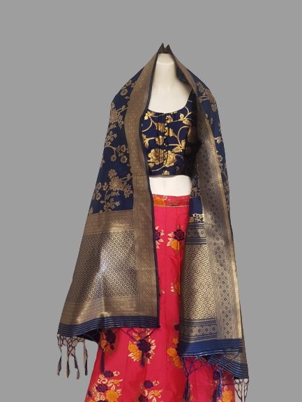 Pink and Blue coloured Lehenga @ DressingStylesCA.com